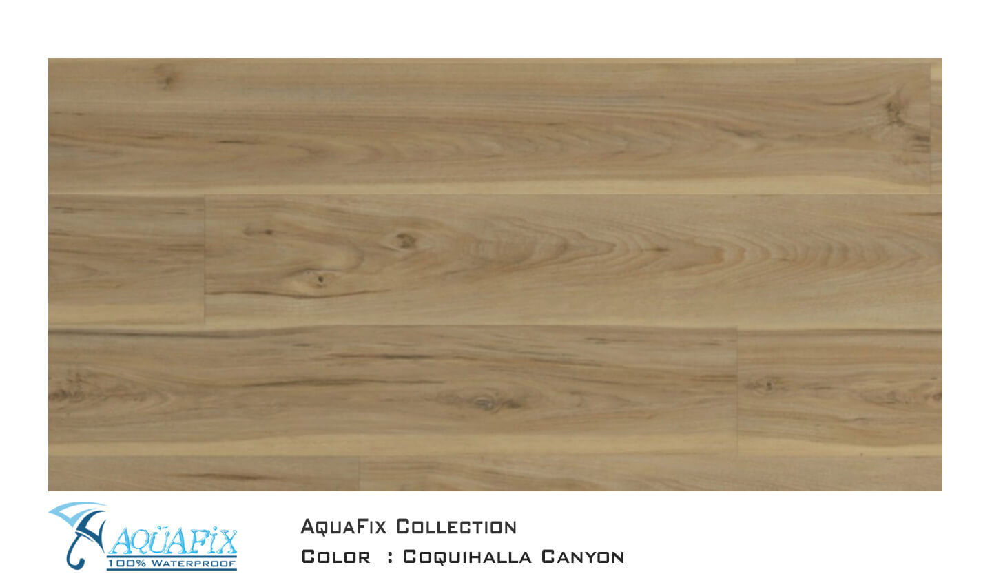 AquaFix SPC Harmony — Coquihalla Canyon