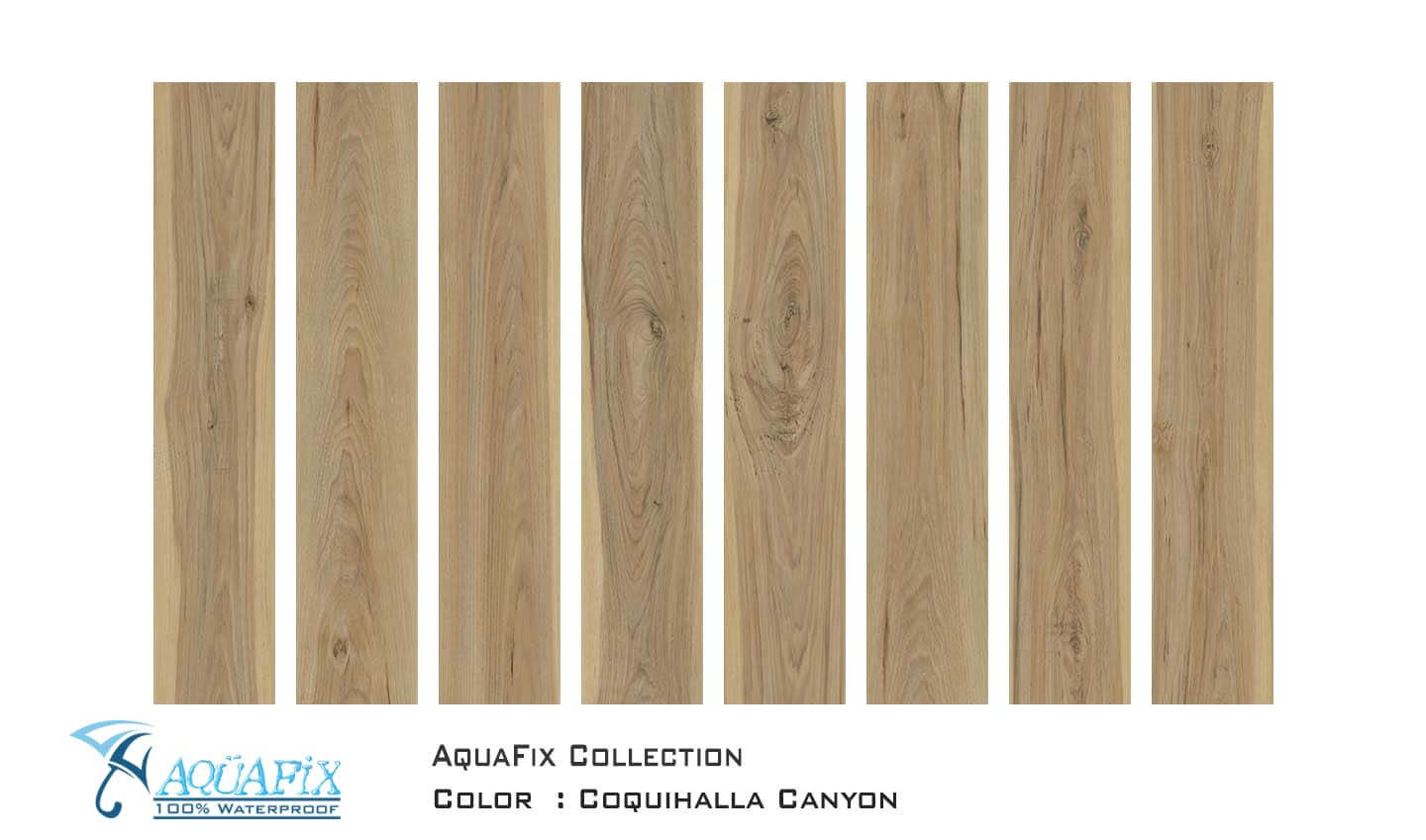 AquaFix SPC Harmony — Coquihalla Canyon
