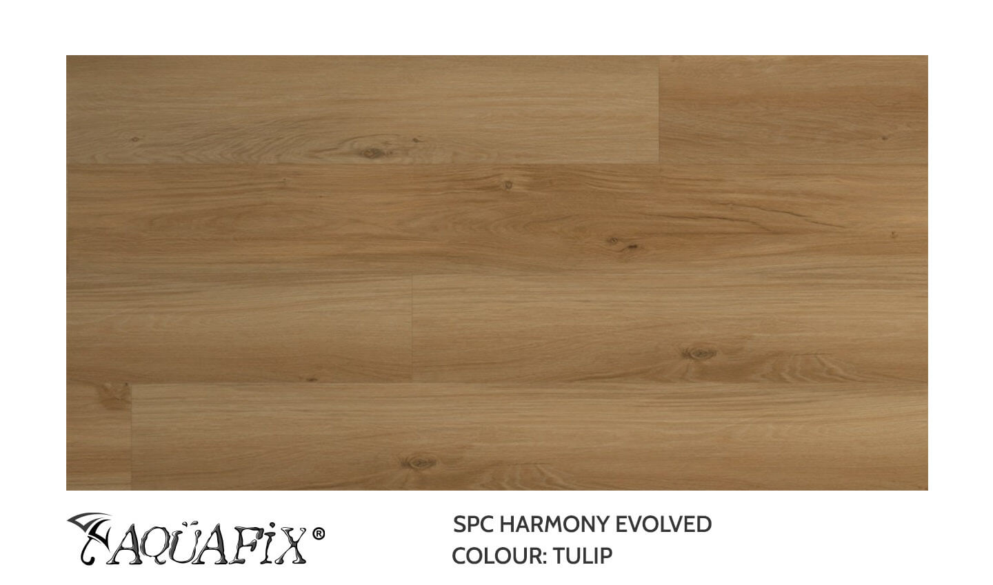 AquaFix SPC Harmony Evolved — Tulip