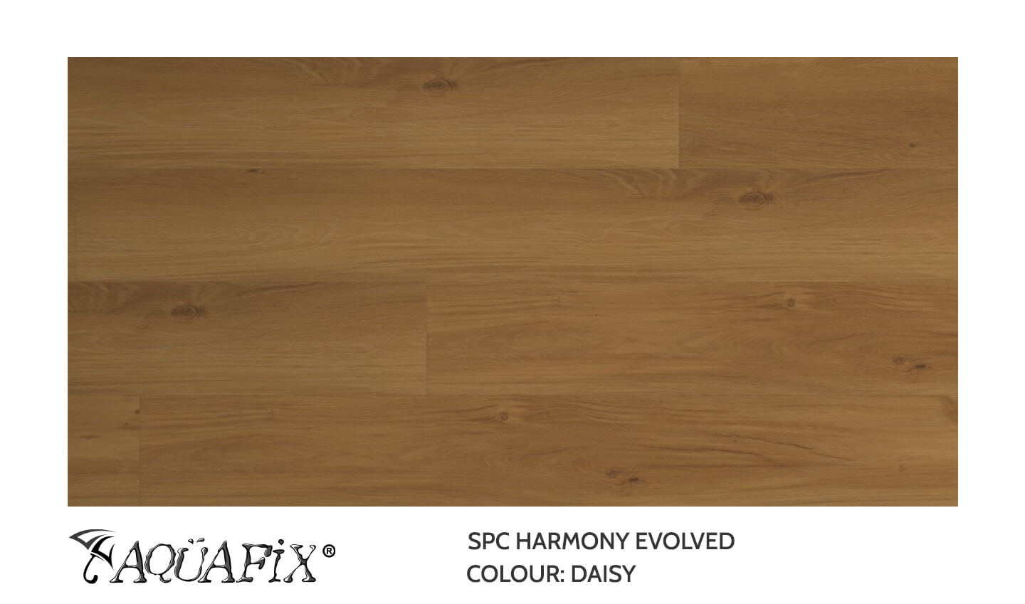 AquaFix SPC Harmony Evolved — Daisy