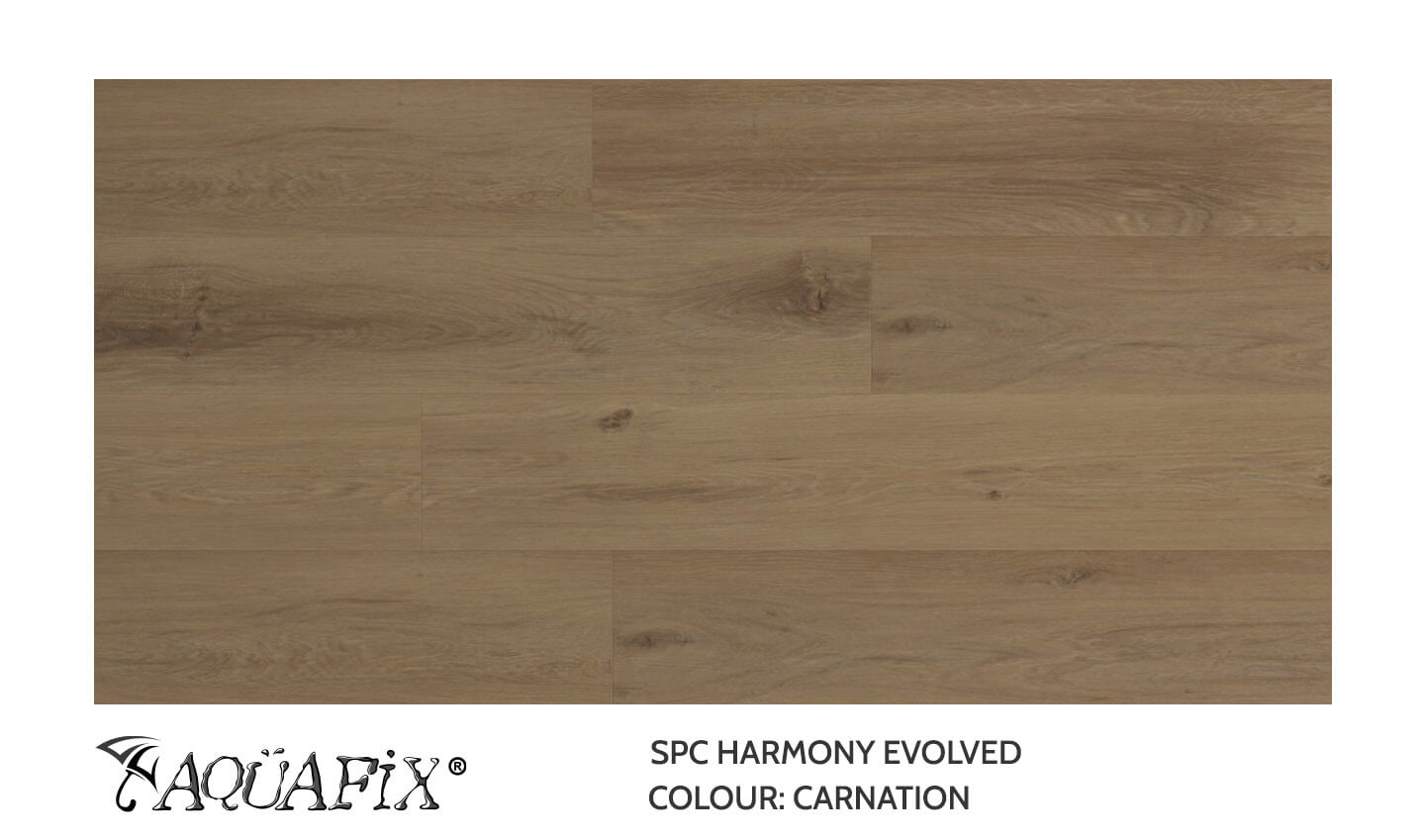 AquaFix SPC Harmony Evolved — Carnation