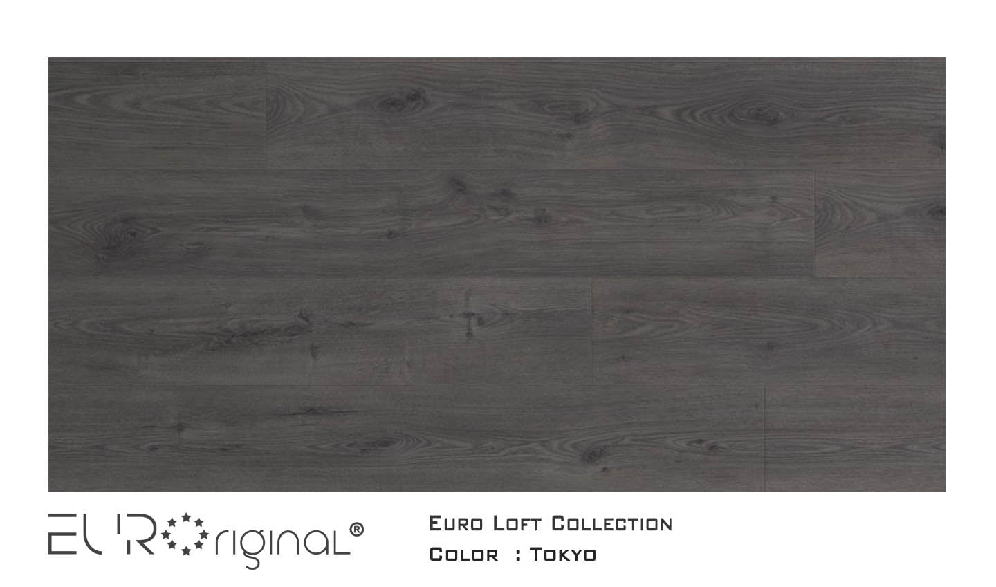 Euro Original: Euro Loft Collection - Tokyo