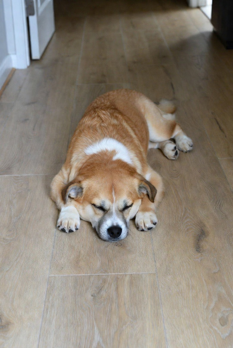 yourfloors