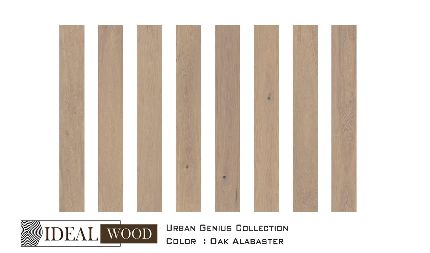 Ideal Wood Engineered Hardwood: Urban Genius Collection - Oak - Oak, Alabaster