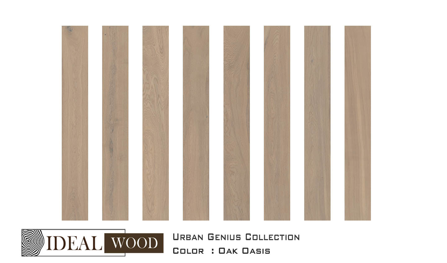 Ideal Wood Engineered Hardwood: Urban Genius Collection - Oak - Oak, Oasis