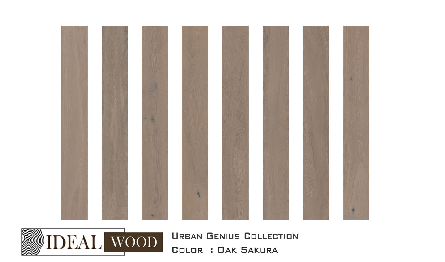 Ideal Wood Engineered Hardwood: Urban Genius Collection - Oak - Oak, Sakura