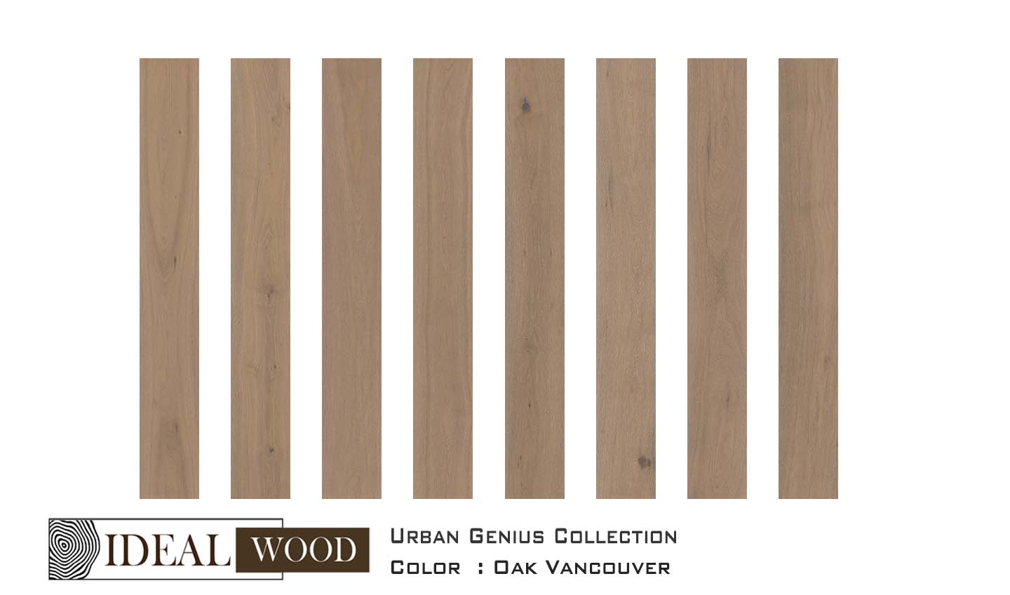 Ideal Wood Engineered Hardwood: Urban Genius Collection - Oak - Oak, Vancouver
