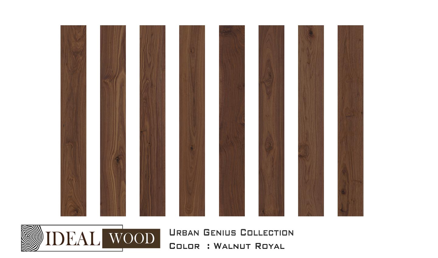 Ideal Wood Engineered Hardwood: Urban Genius Collection - Walnut - Walnut, Royal