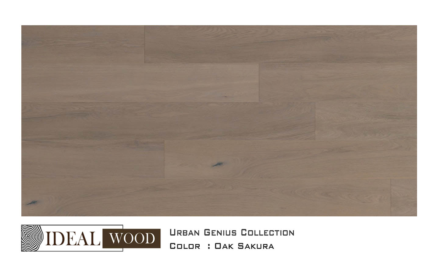 Ideal Wood Engineered Hardwood: Urban Genius Collection - Oak - Oak, Sakura