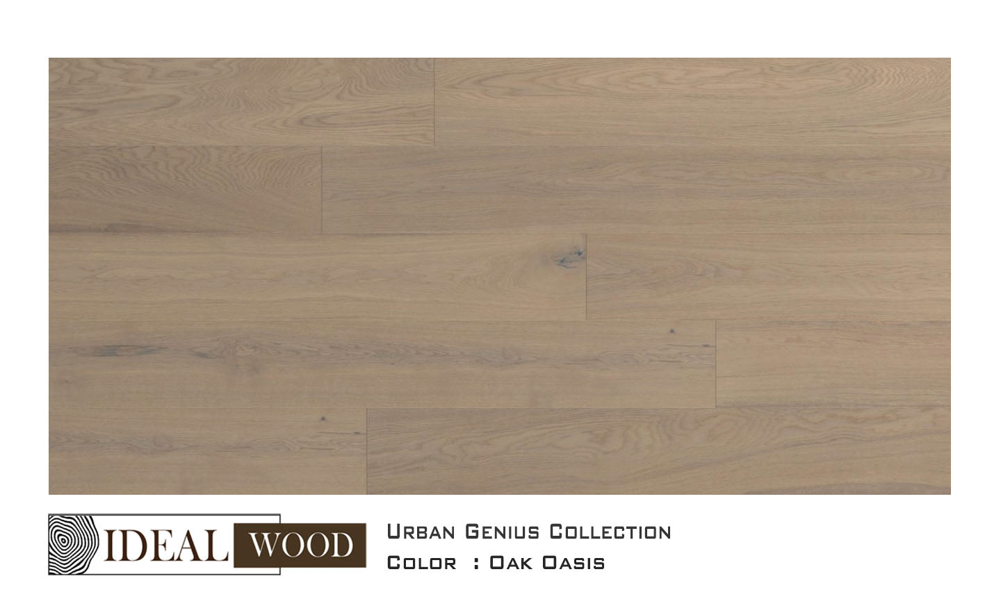 Ideal Wood Engineered Hardwood: Urban Genius Collection - Oak - Oak, Oasis