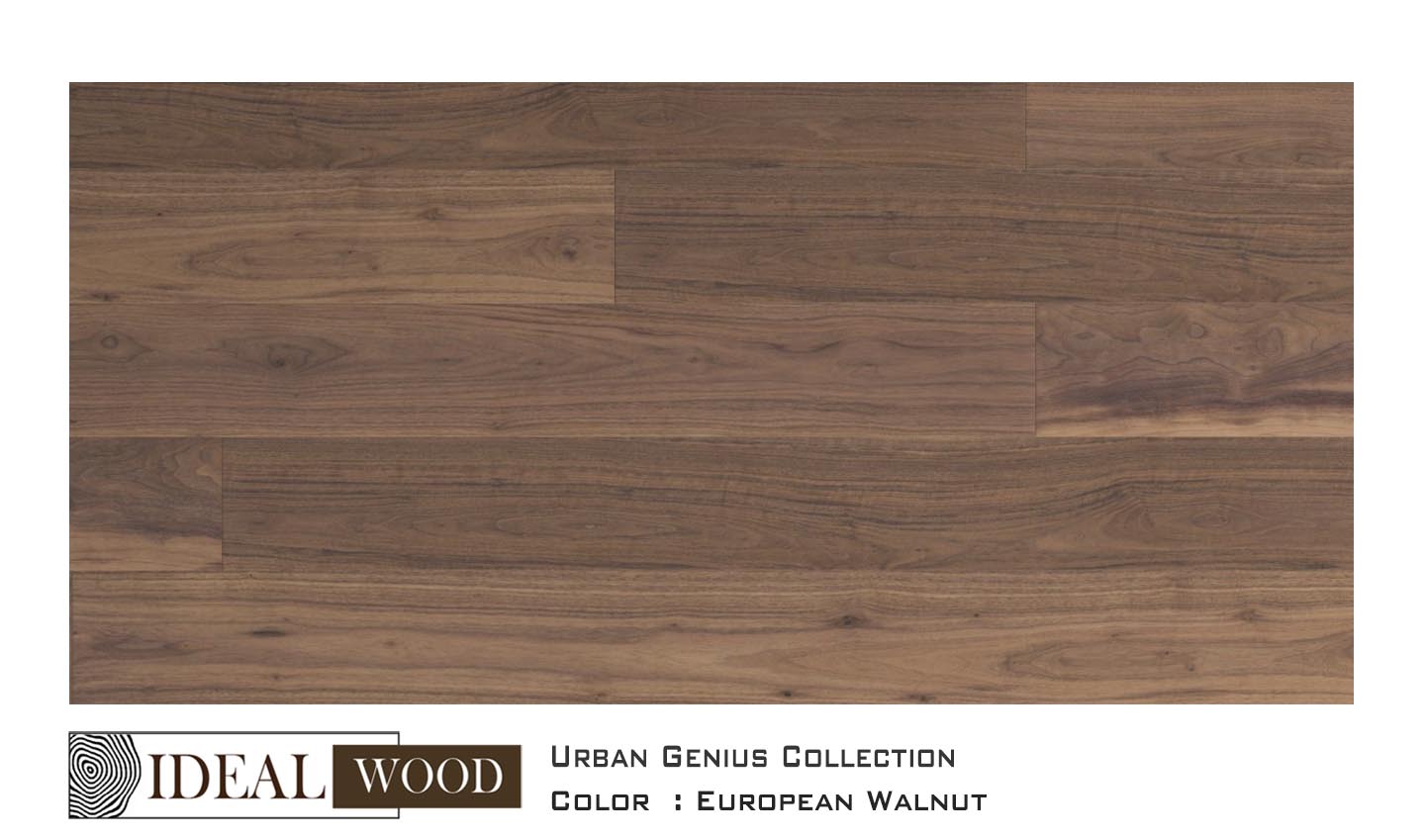 Ideal Wood Engineered Hardwood: Urban Genius Collection - Walnut - European Walnut