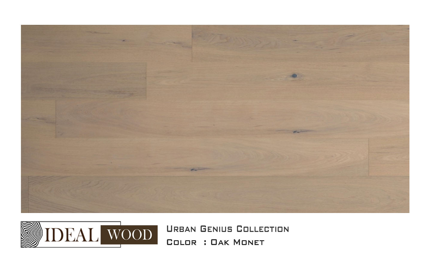 Ideal Wood Engineered Hardwood: Urban Genius Collection - Oak - Oak, Monet