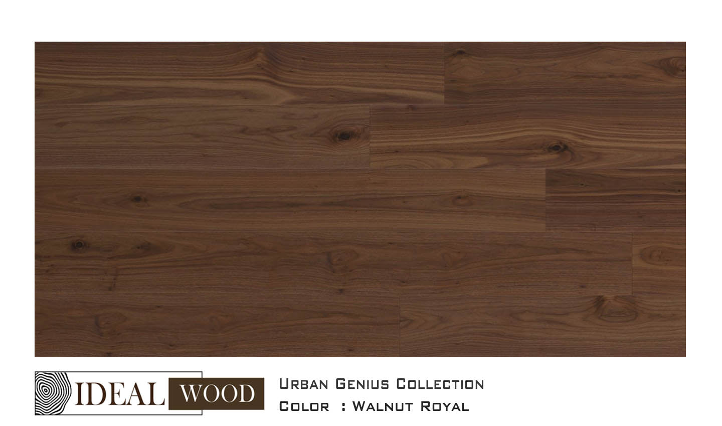 Ideal Wood Engineered Hardwood: Urban Genius Collection - Walnut - Walnut, Royal