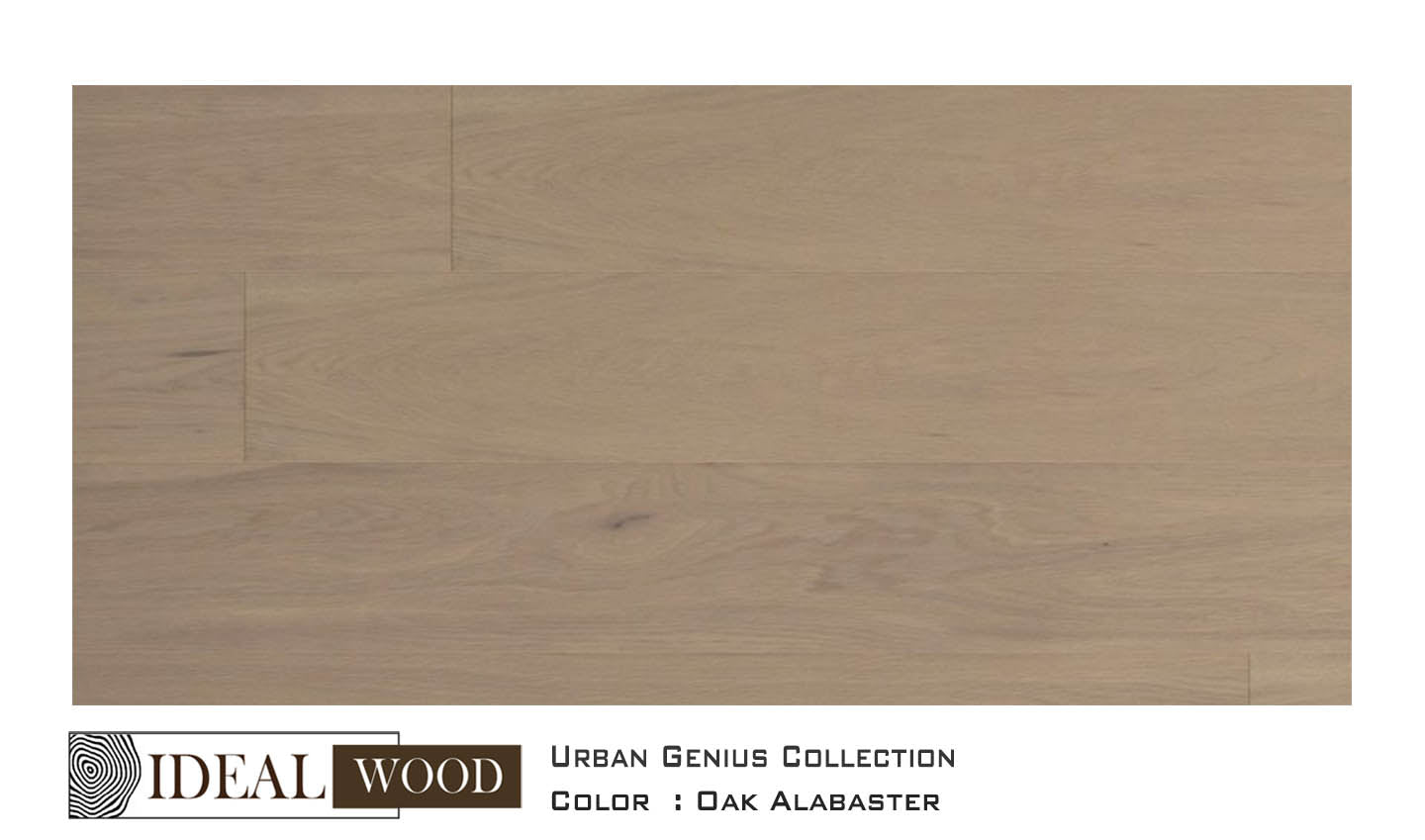 Ideal Wood Engineered Hardwood: Urban Genius Collection - Oak - Oak, Alabaster
