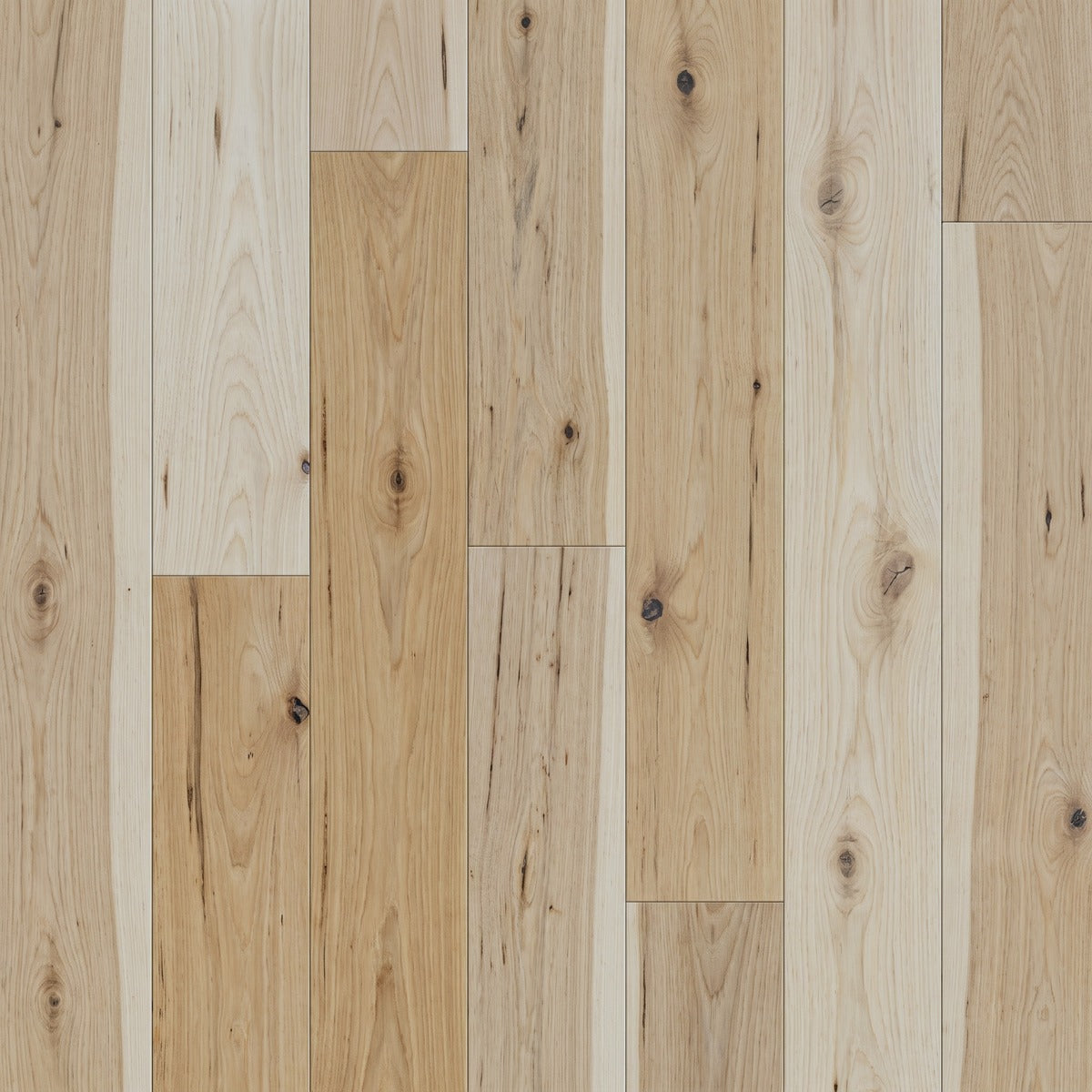 Natural hickory swatch, cream to honey planks with knots