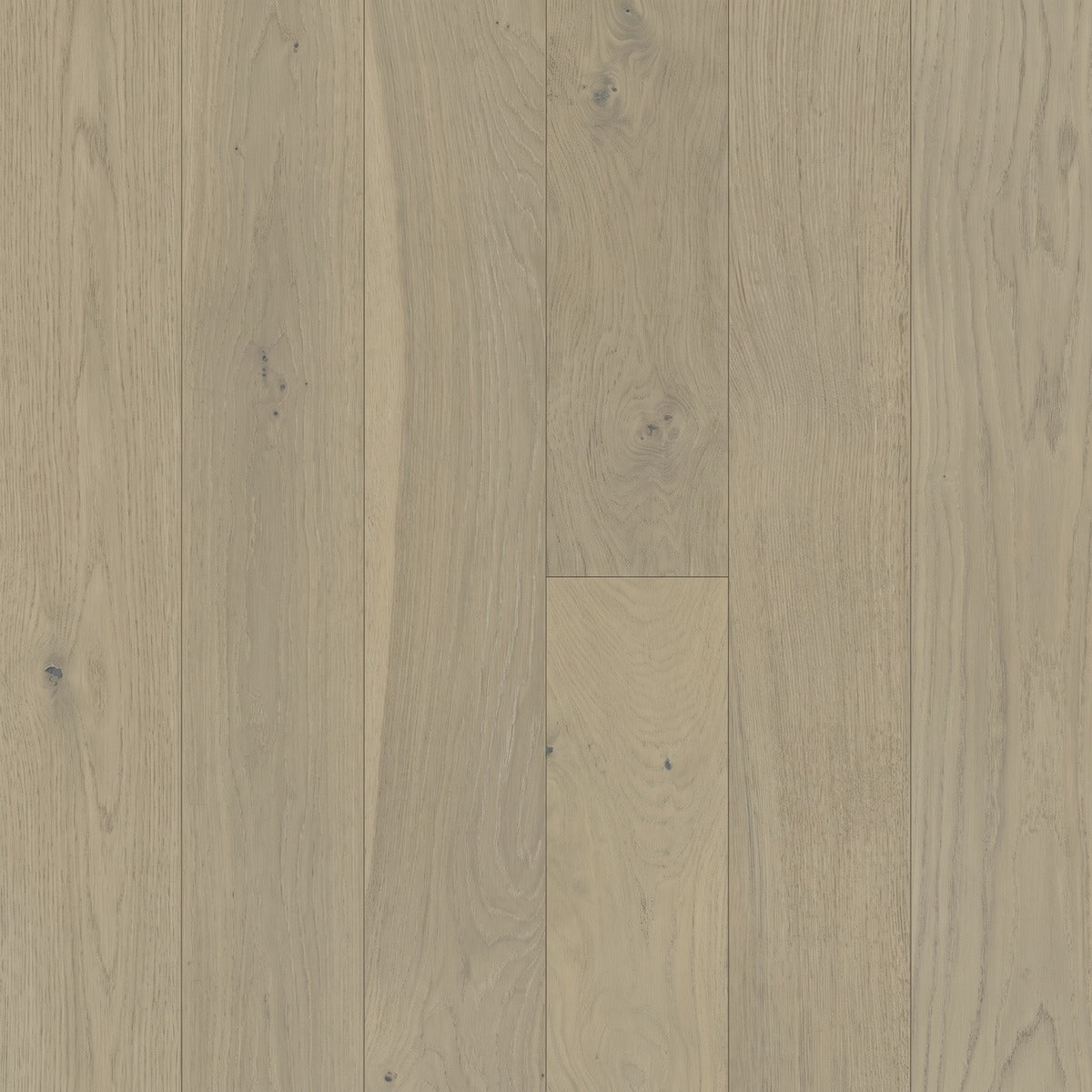 Kitsilano brushed oak swatch, light greige planks