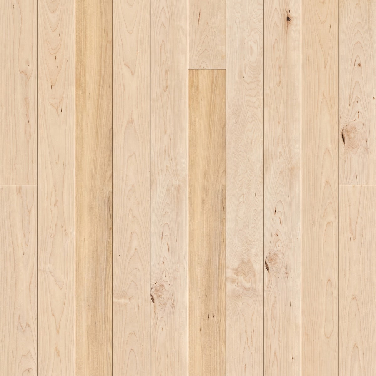 Natural hard maple swatch, pale character-grade strips