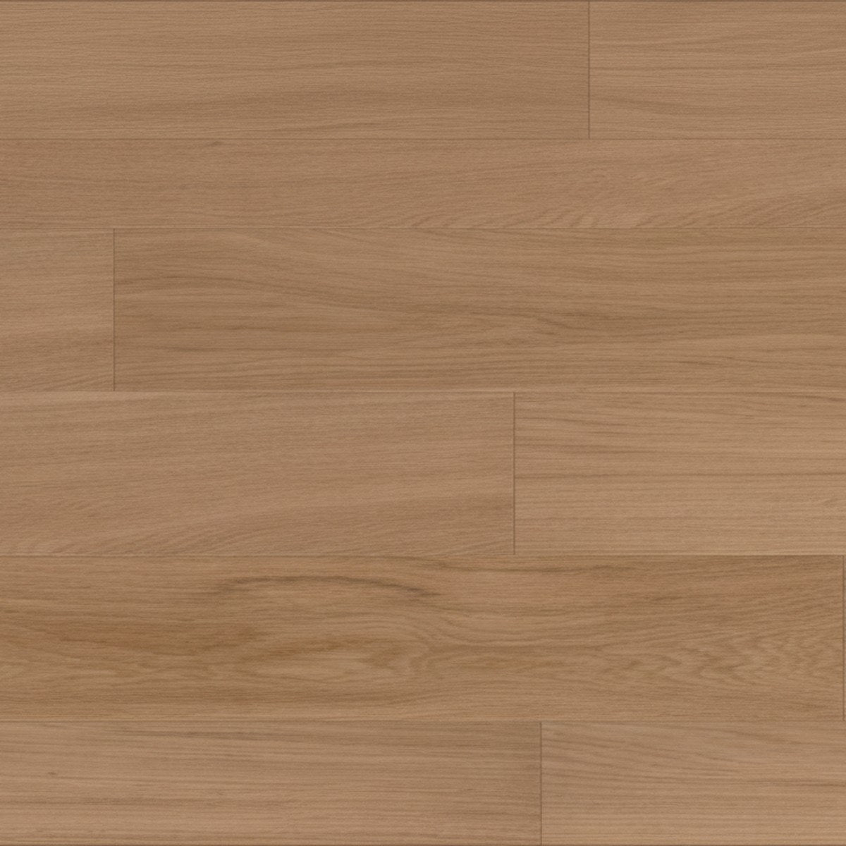 Ideal Wood Ideal Texture Renaissance Sonoma swatch