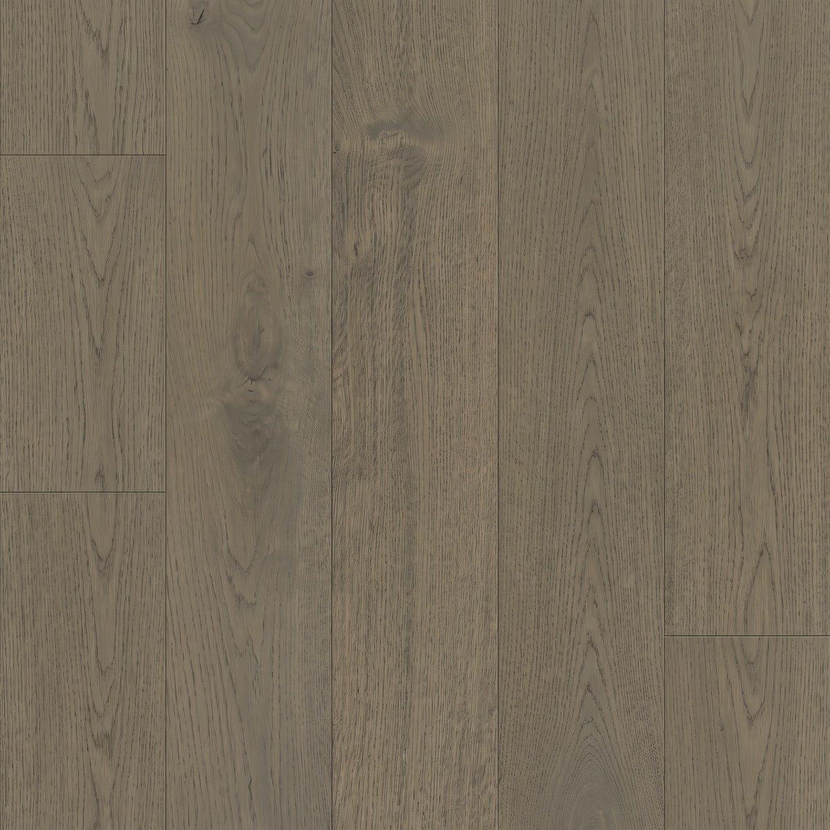 Vinson engineered white oak swatch, warm greige planks