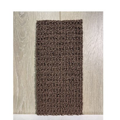Avalon Park - SmartStrand Forever Clean Silk by Karastan (12' roll) - Flooring & Carpet - Karastan