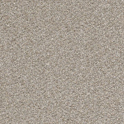 Cape Cod - Dreamweaver (12' roll) - Carpet - Engineered Floors LLC