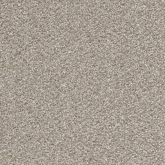 Cape Cod - Dreamweaver (12' roll) - Carpet - Engineered Floors LLC