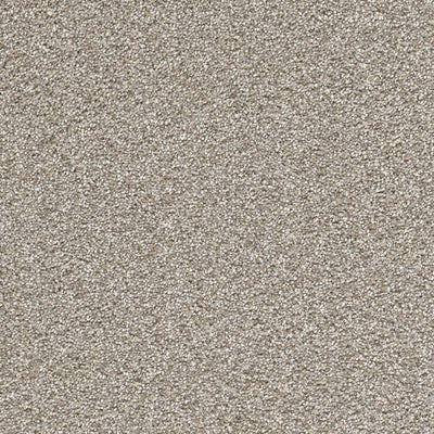 Cape Cod - Dreamweaver (12' roll) - Carpet - Engineered Floors LLC