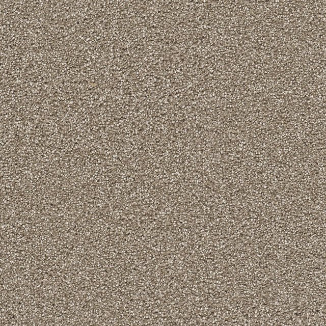 Cape Cod - Dreamweaver (12' roll) - Carpet - Engineered Floors LLC