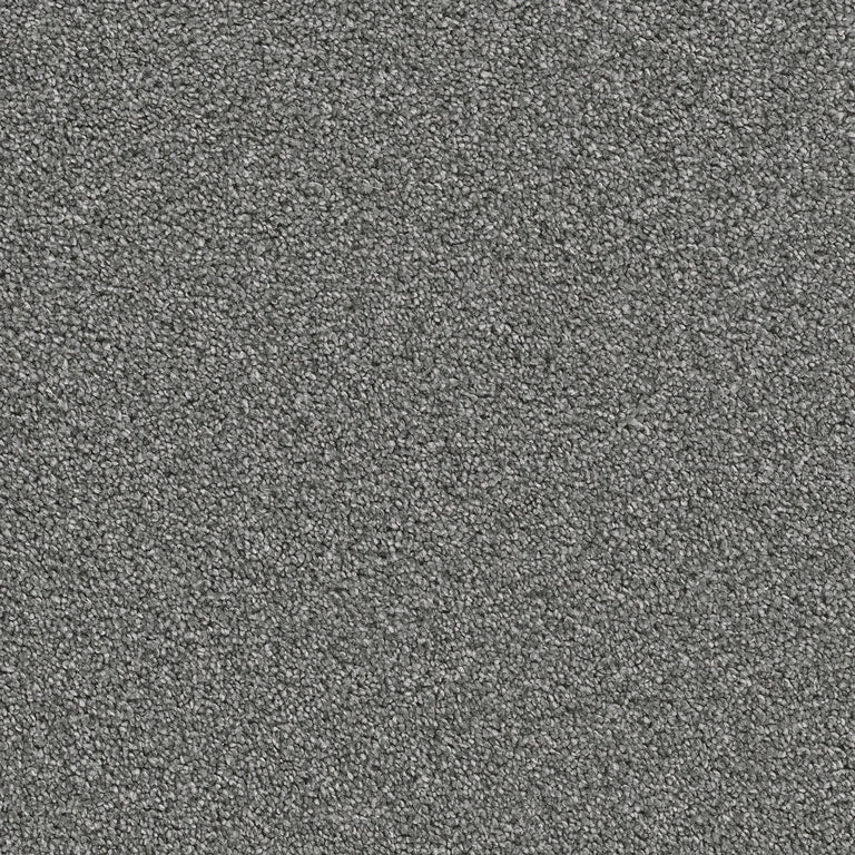 Cape Cod - Dreamweaver (12' roll) - Carpet - Engineered Floors LLC