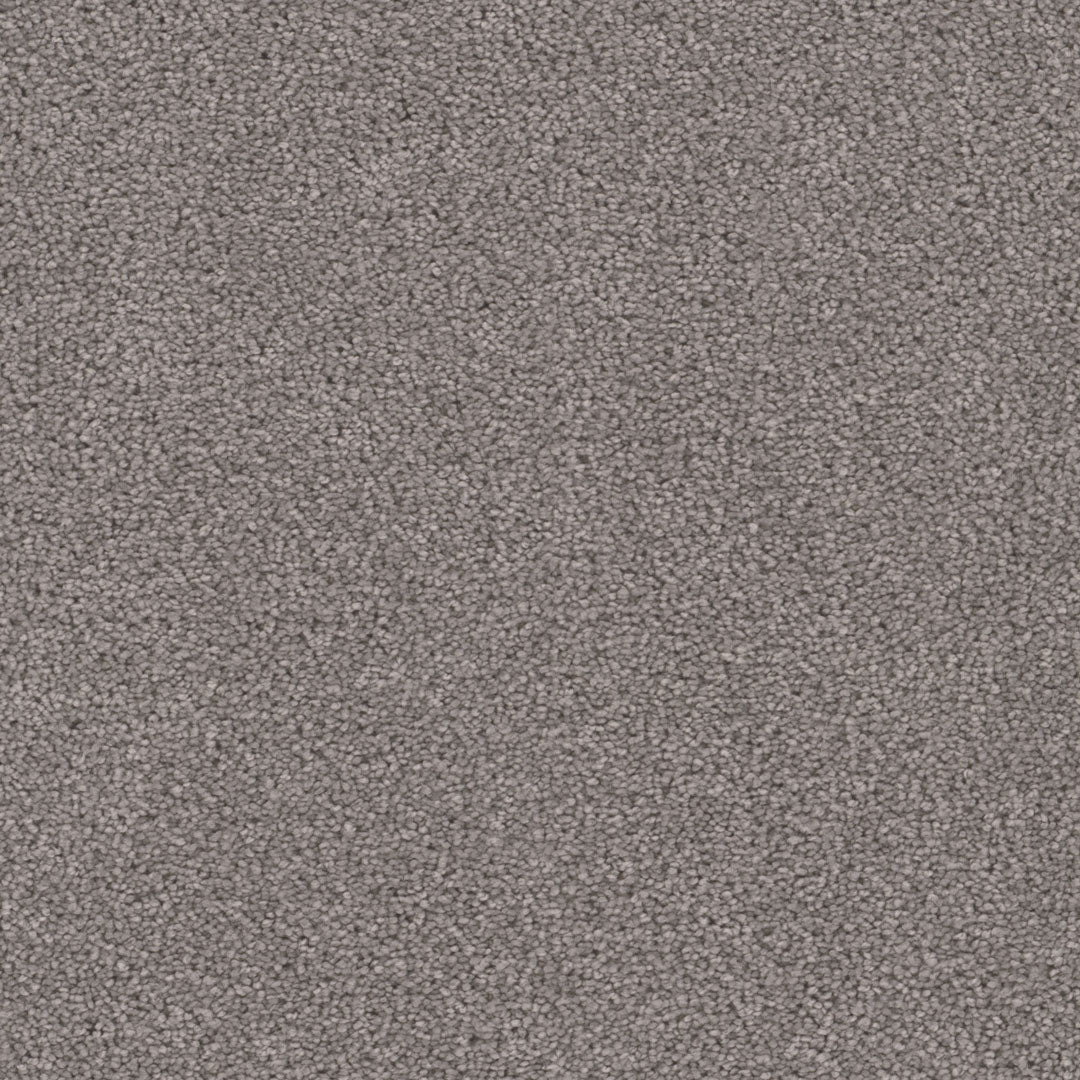 Cape Cod - Dreamweaver (12' roll) - Carpet - Engineered Floors LLC